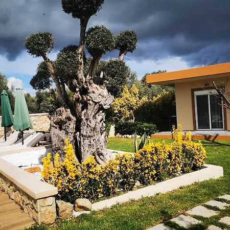 Mata - 600m² With Private Pool And Jacuzzi Kalithies