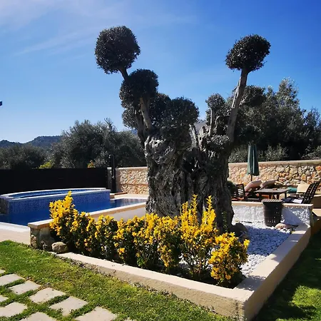 Mata - 600m² With Private Pool And Jacuzzi * Калитиес
