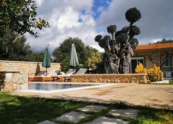 Mata - 600m² With Private Pool And Jacuzzi * Kalithies