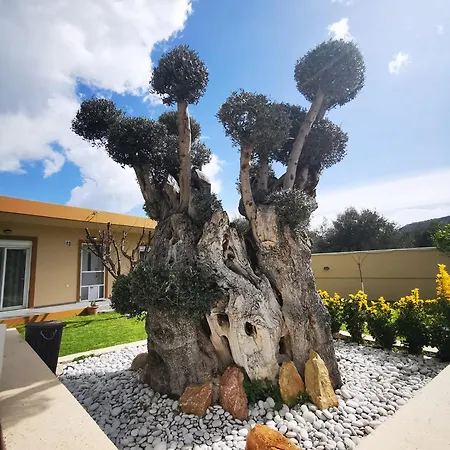 Mata - 600m² With Private Pool And Jacuzzi Villa