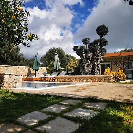 Mata - 600m² With Private Pool And Jacuzzi * Kalithies