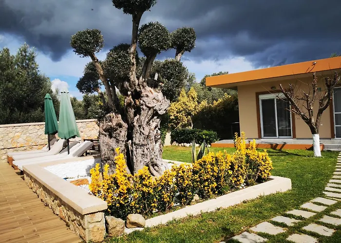 Mata - 600m² With Private Pool And Jacuzzi Kalithies