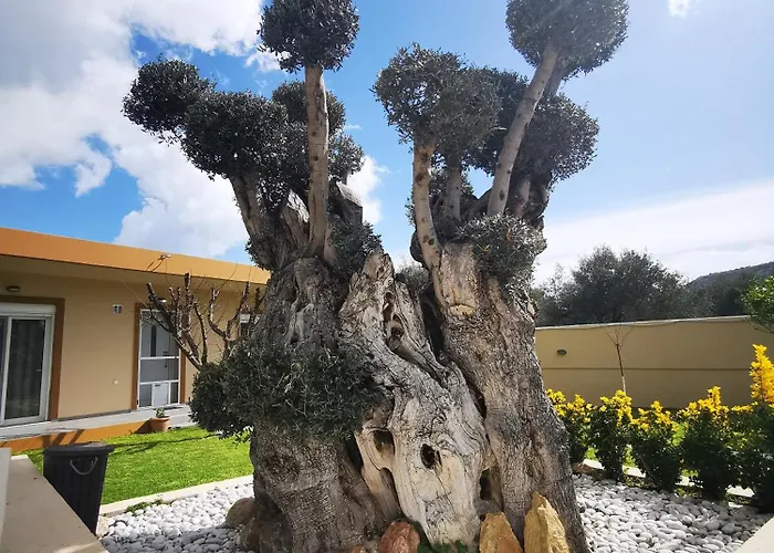 Mata - 600m² With Private Pool And Jacuzzi Willa